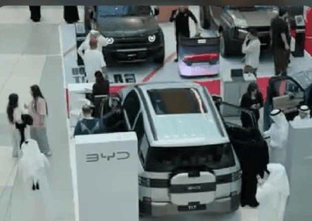 BYD X AUTO HUB
